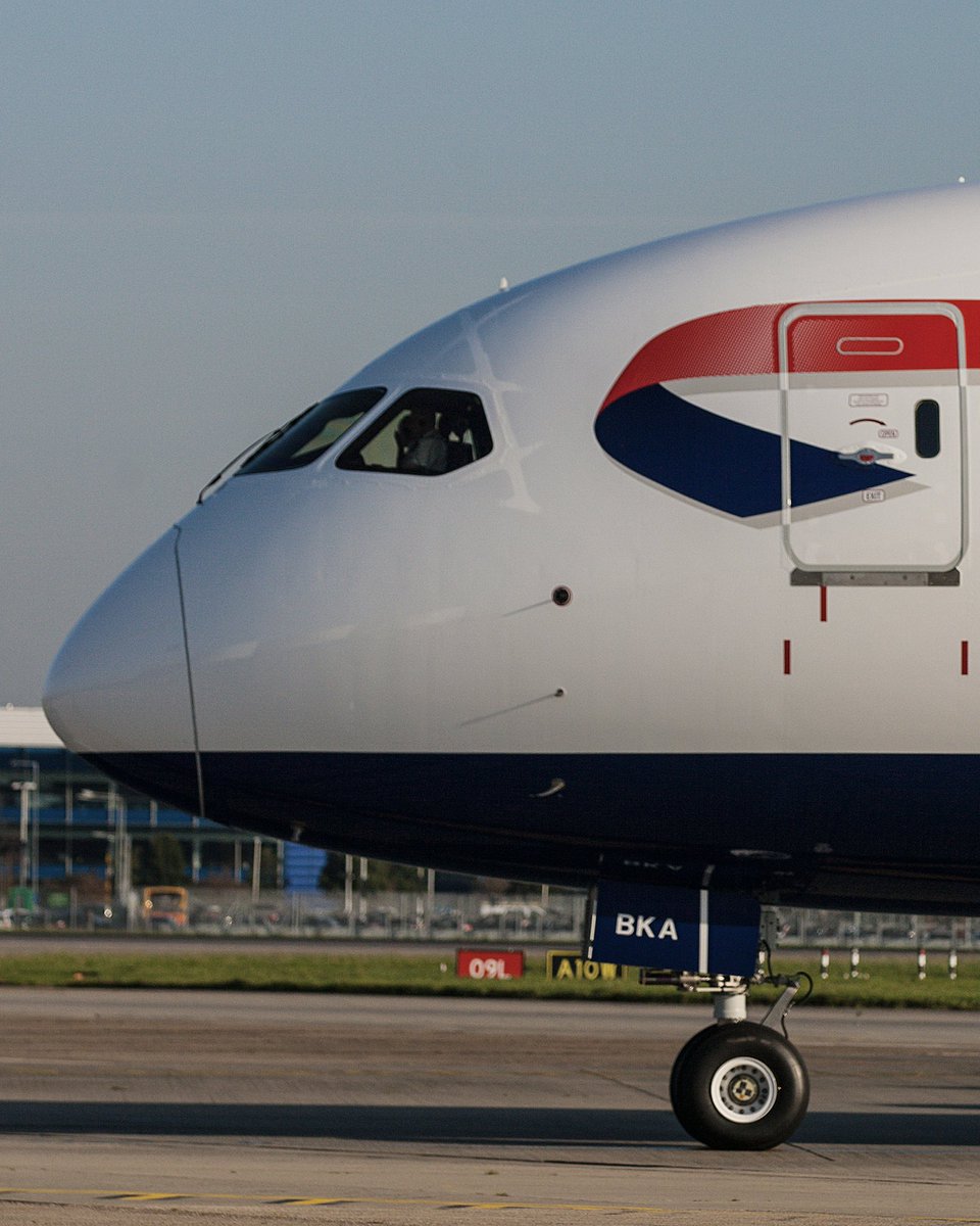 Tampa International Airport ✈️ tweet media