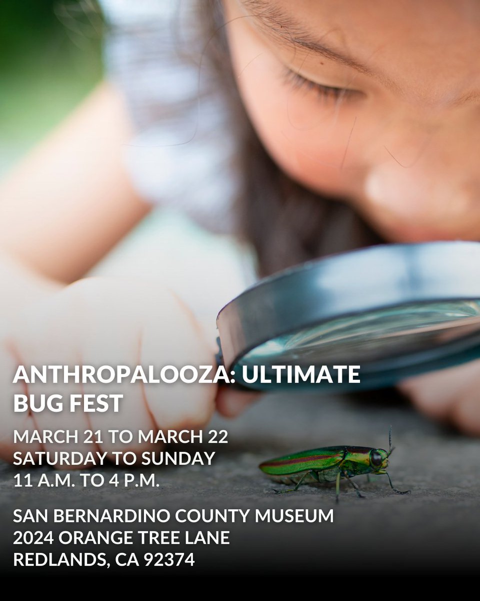 First 5 San Bernardino tweet media