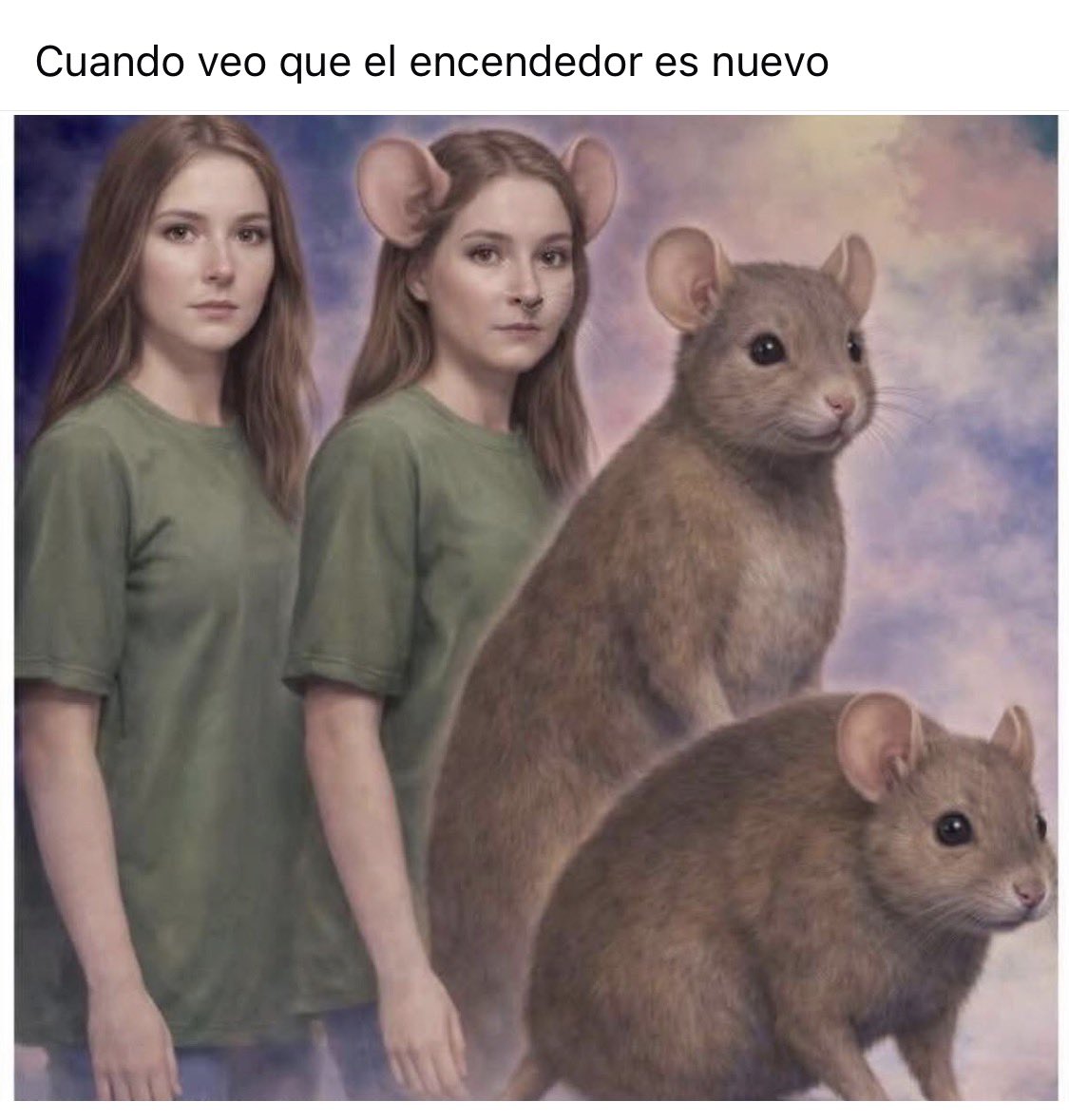 The Crazy Morro tweet media