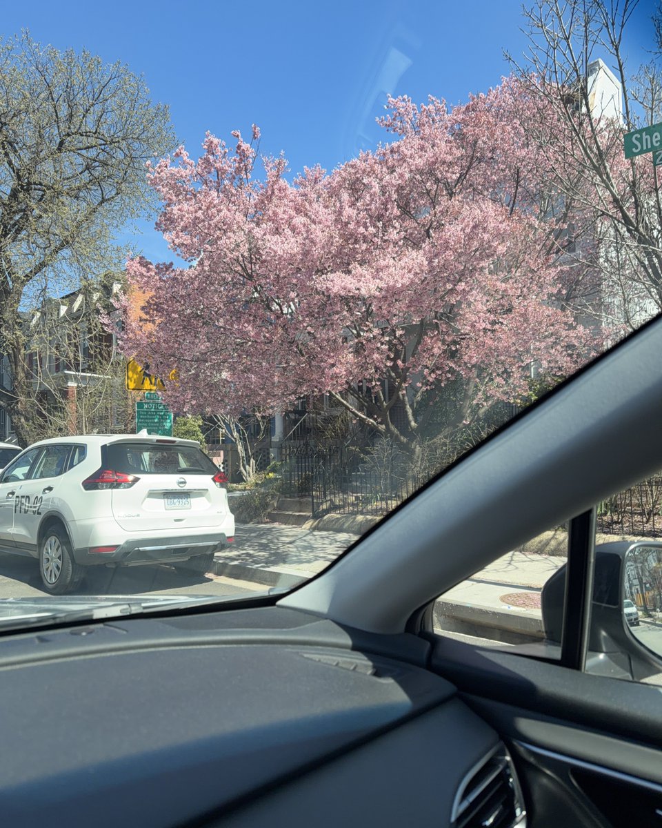 yung quinoa, J.D. tweet media