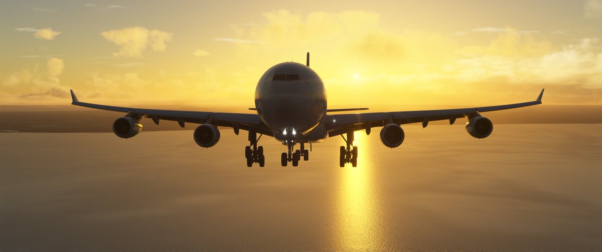 Fatcat742's tweet image. Color Series - Yellow
No° 1, 2, 3, 4 
#MSFSchallenge