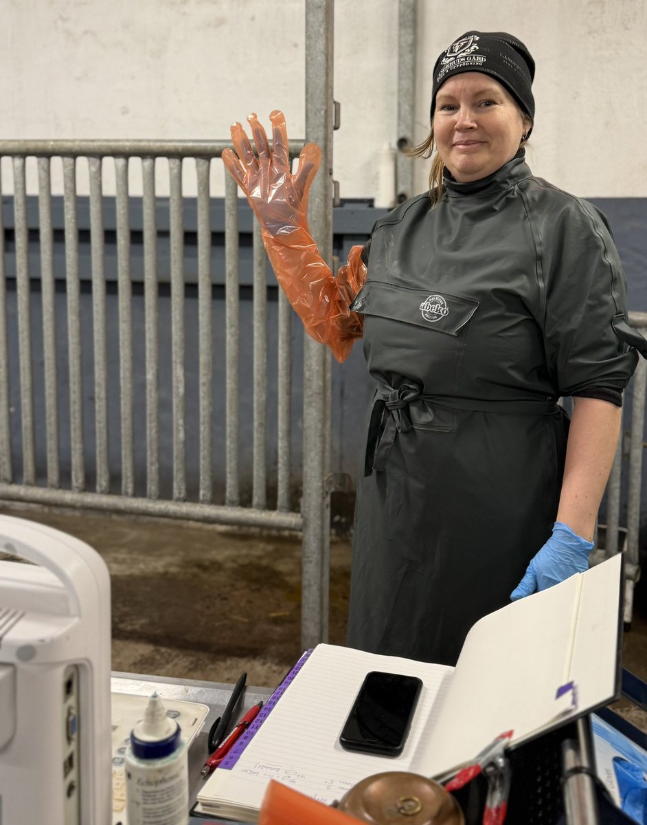 Madelen Ohlzon tweet media