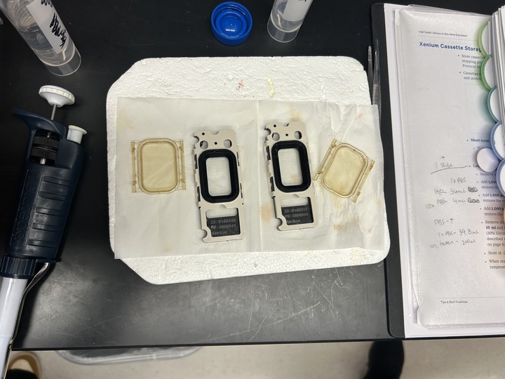 Gregory Lab tweet media