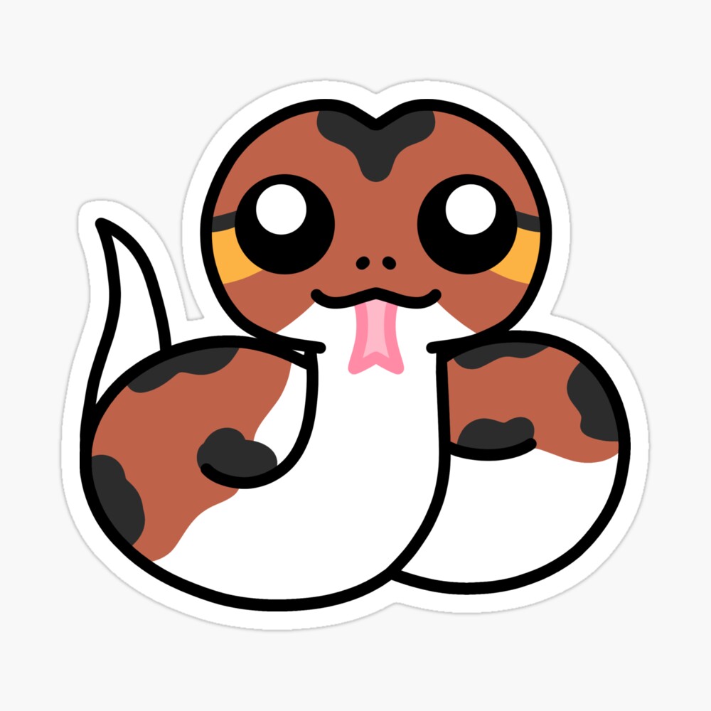ScarletLilyShop's tweet image. Get a ball python sticker.
Support me at Redbubble #RBandME: scarletlilyshop.redbubble.com
redbubble.com/i/sticker/Ball…
#redbubble #ballpythons #pythonstickers #snake #snakestickers #cuteanimals