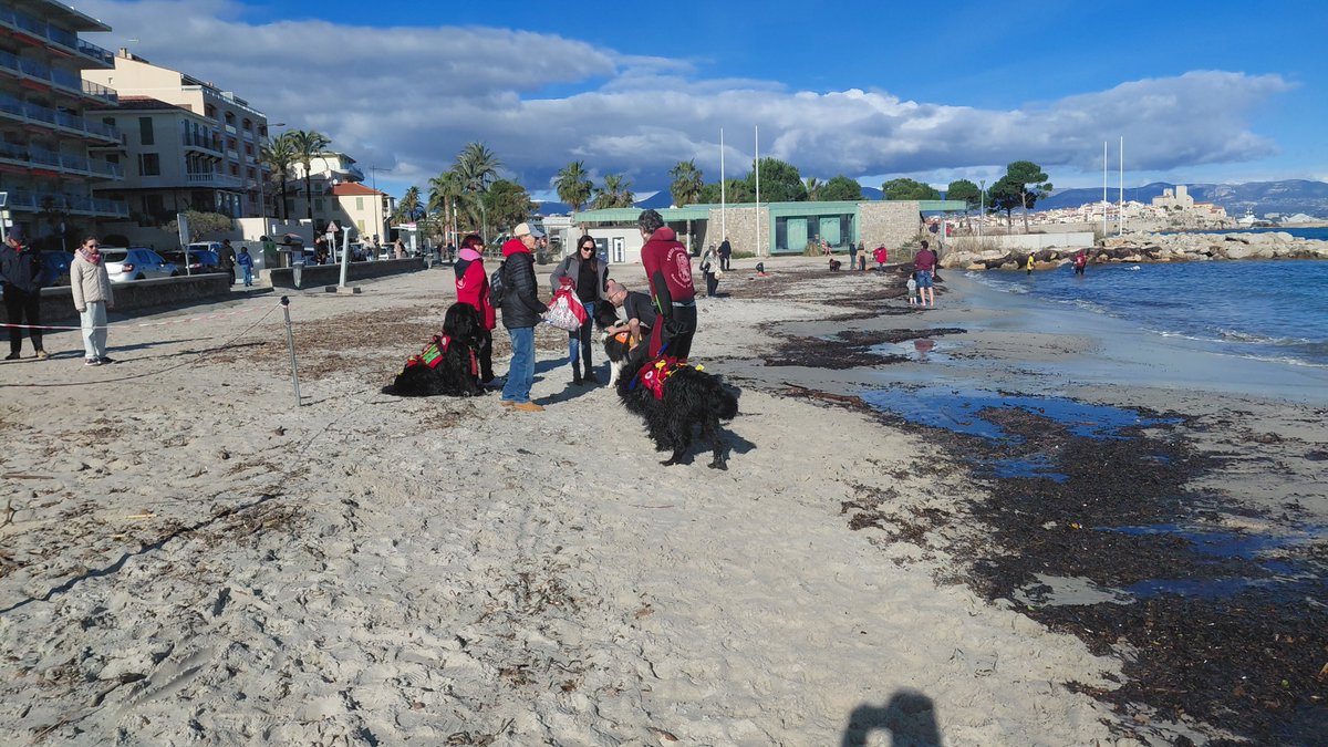 Destination Eat Drink tweet media