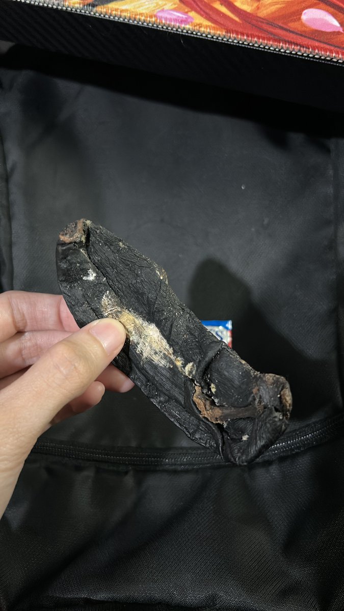 Elaine Celestia🗡🤍『 LOOK AT ME』 tweet media