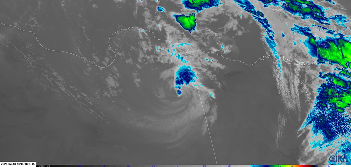 WillWeatherRVA's tweet photo. Despite being well inland, the #medicane (#Jolina or #Samuel) remains a fairly well defined system and is still producing some shallow convection as it races for the Libya-Egypt border. It should decay into a trough shortly after getting there. https://t.co/pItbgzzKXW