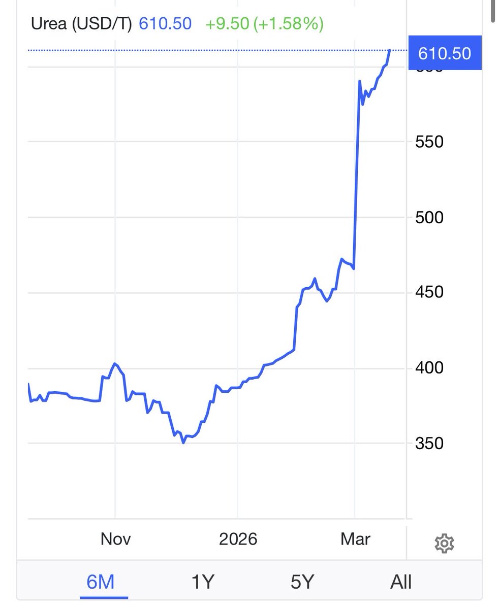 Dr. Ali Demirdas tweet media
