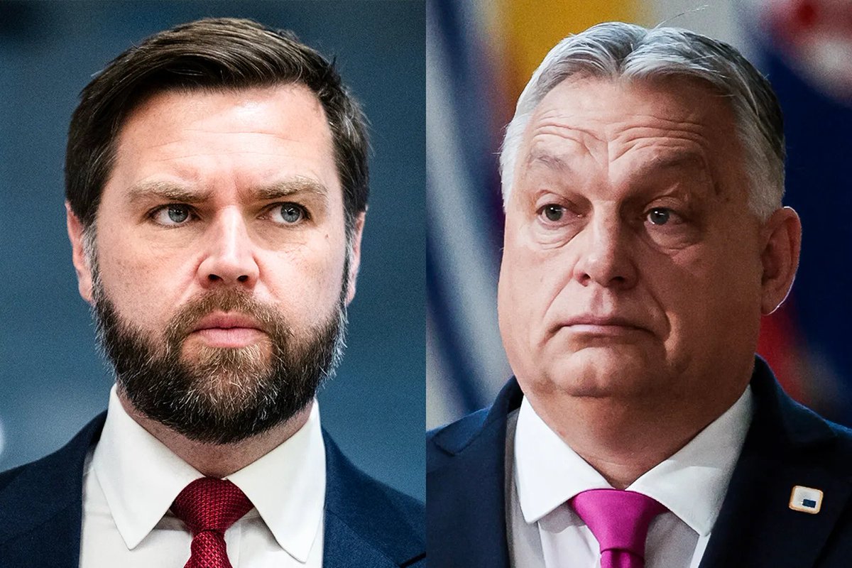 Daractenus tweet media