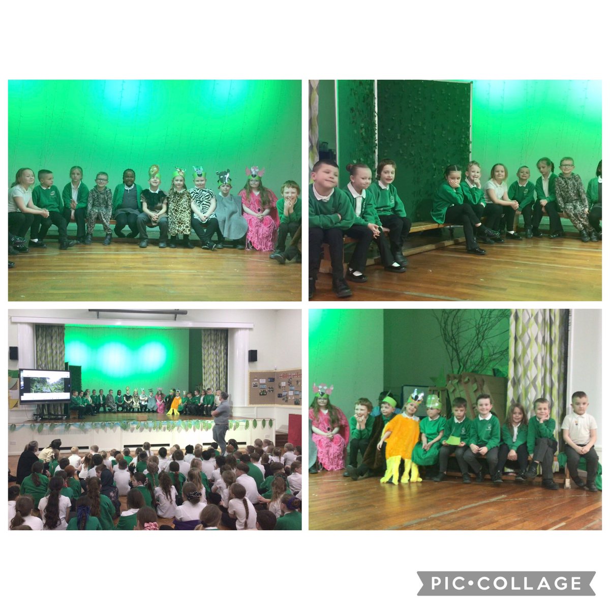 @CaldiY2 tweet media