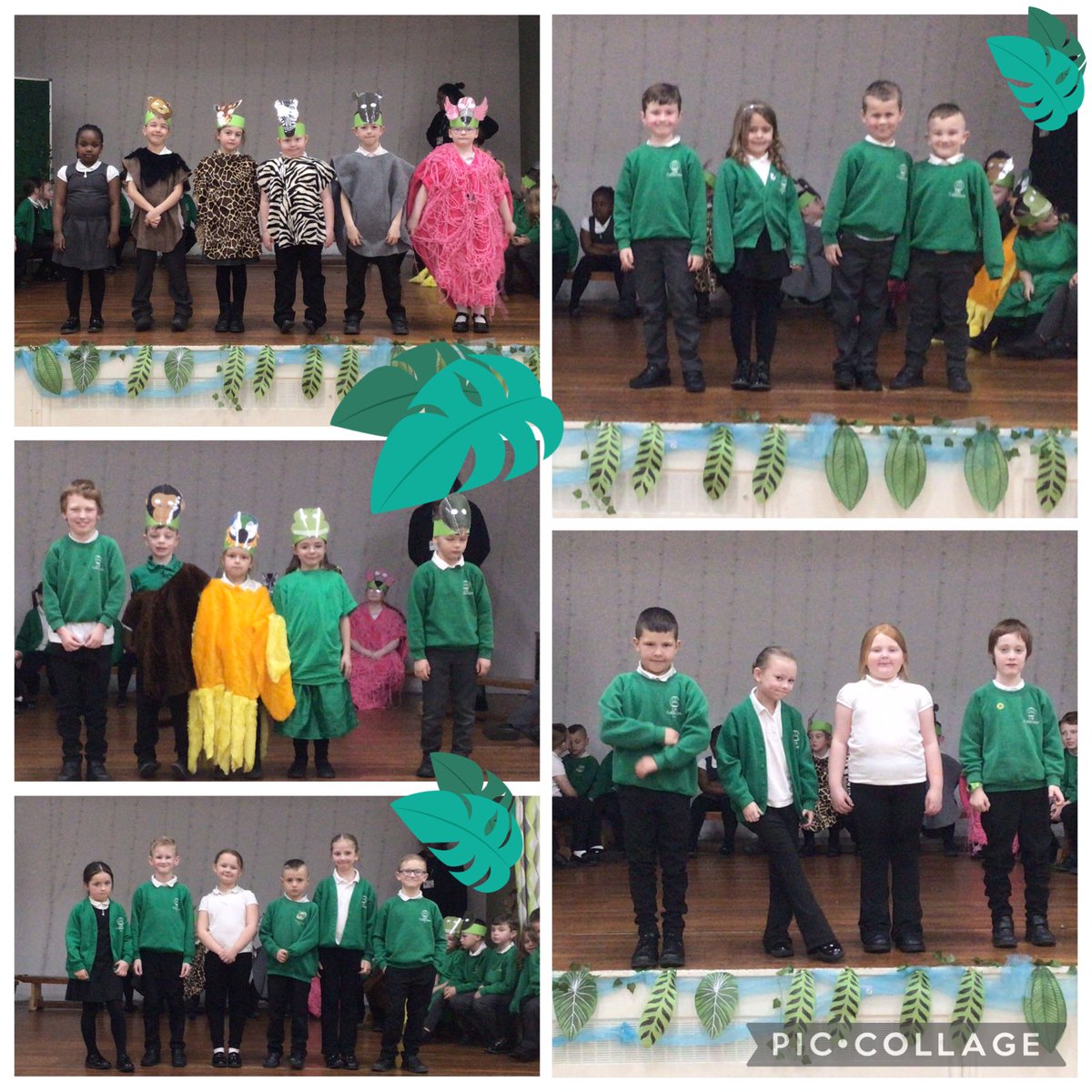 @CaldiY2 tweet media