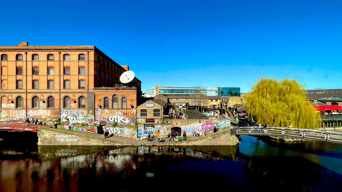 Will Sergeant tweet media