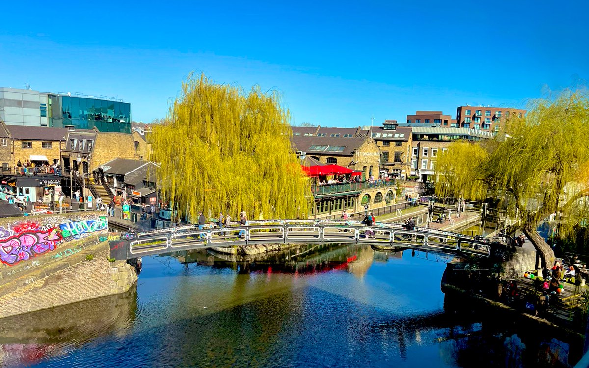 Will Sergeant tweet media