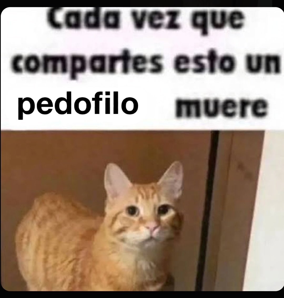 Animalitos en aprietos. tweet media