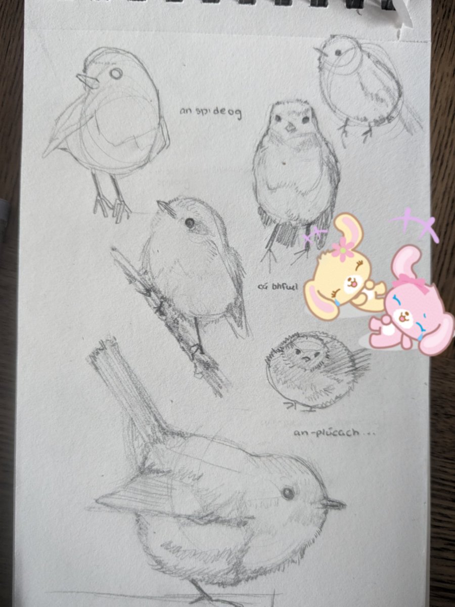 aoibha 🐇 ໒꒱ ‧₊˚ tweet media