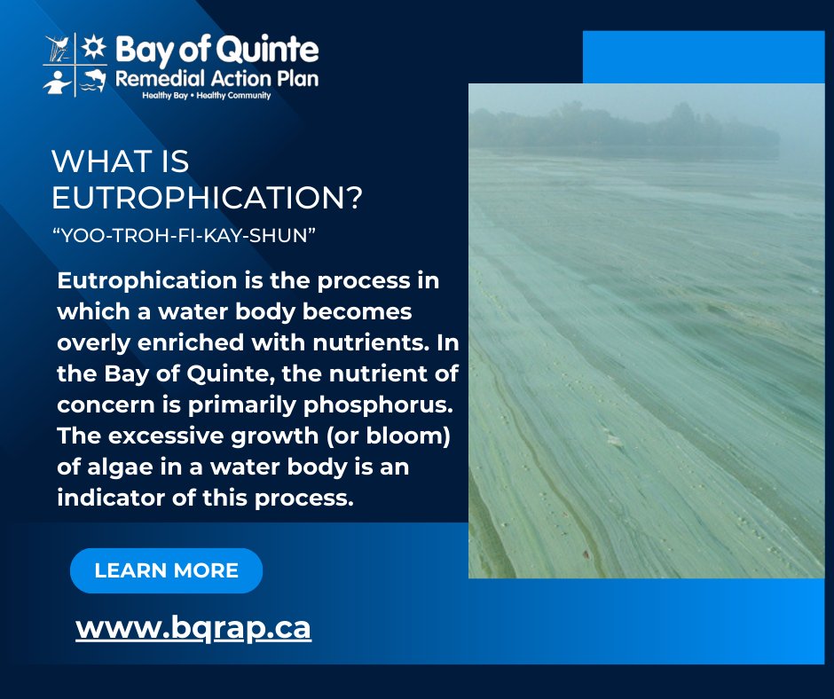 Bay of Quinte RAP tweet media