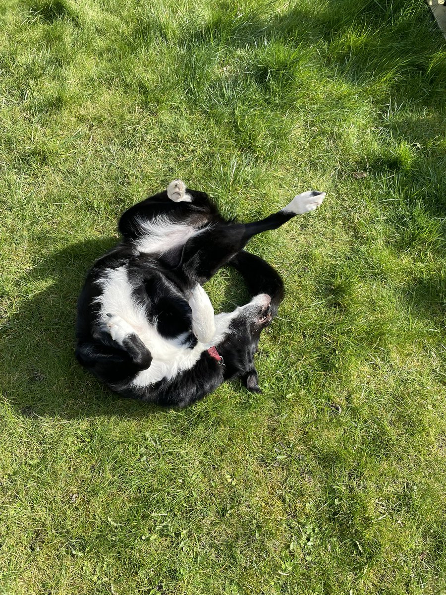 What Pippa Did Next tweet media