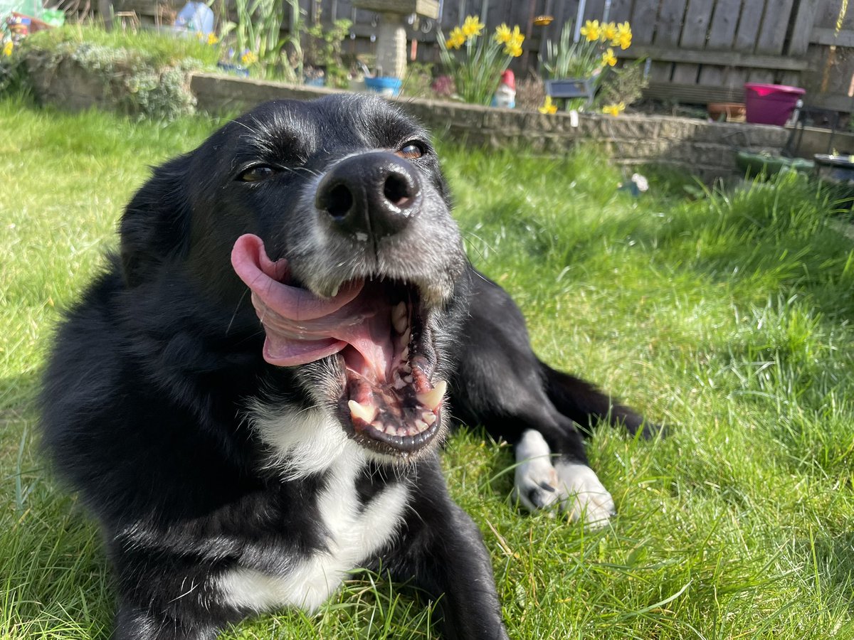 What Pippa Did Next tweet media