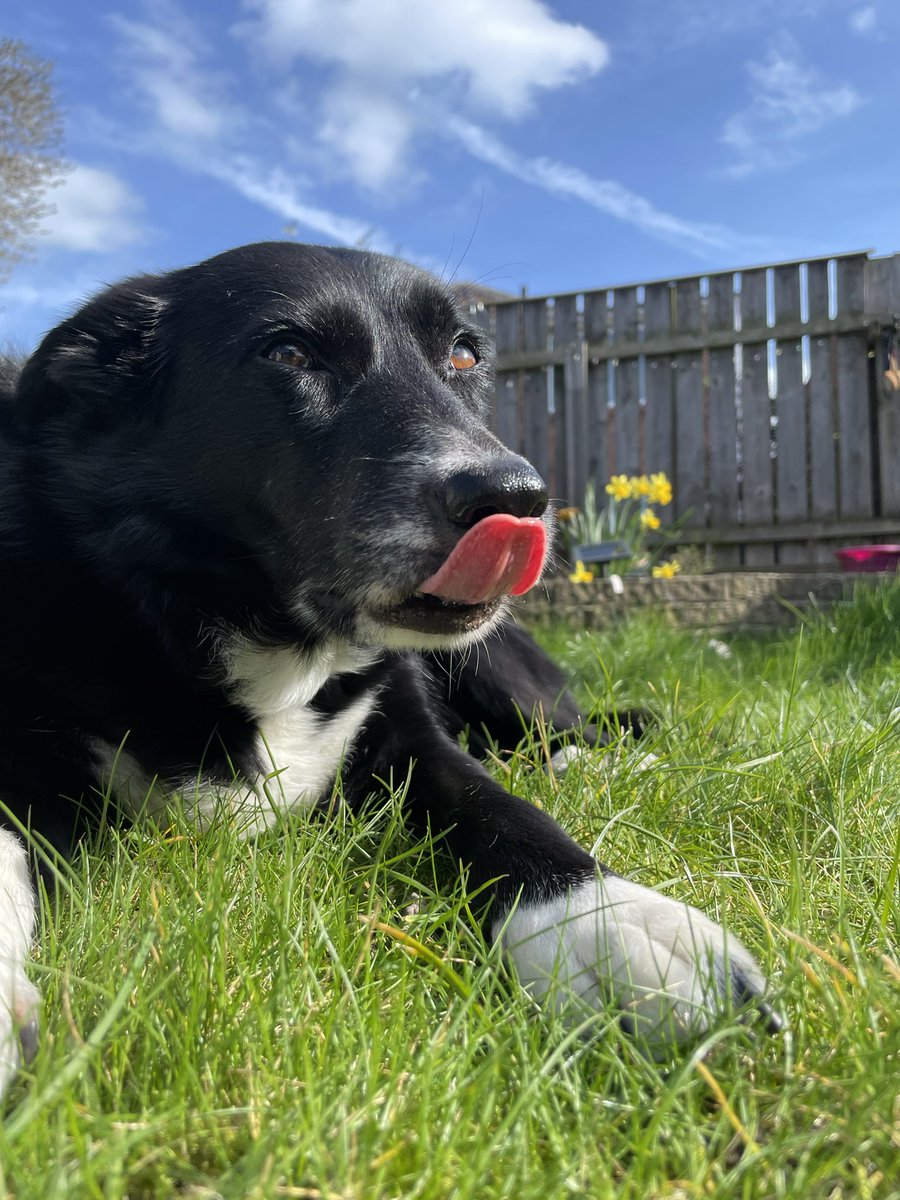 What Pippa Did Next tweet media