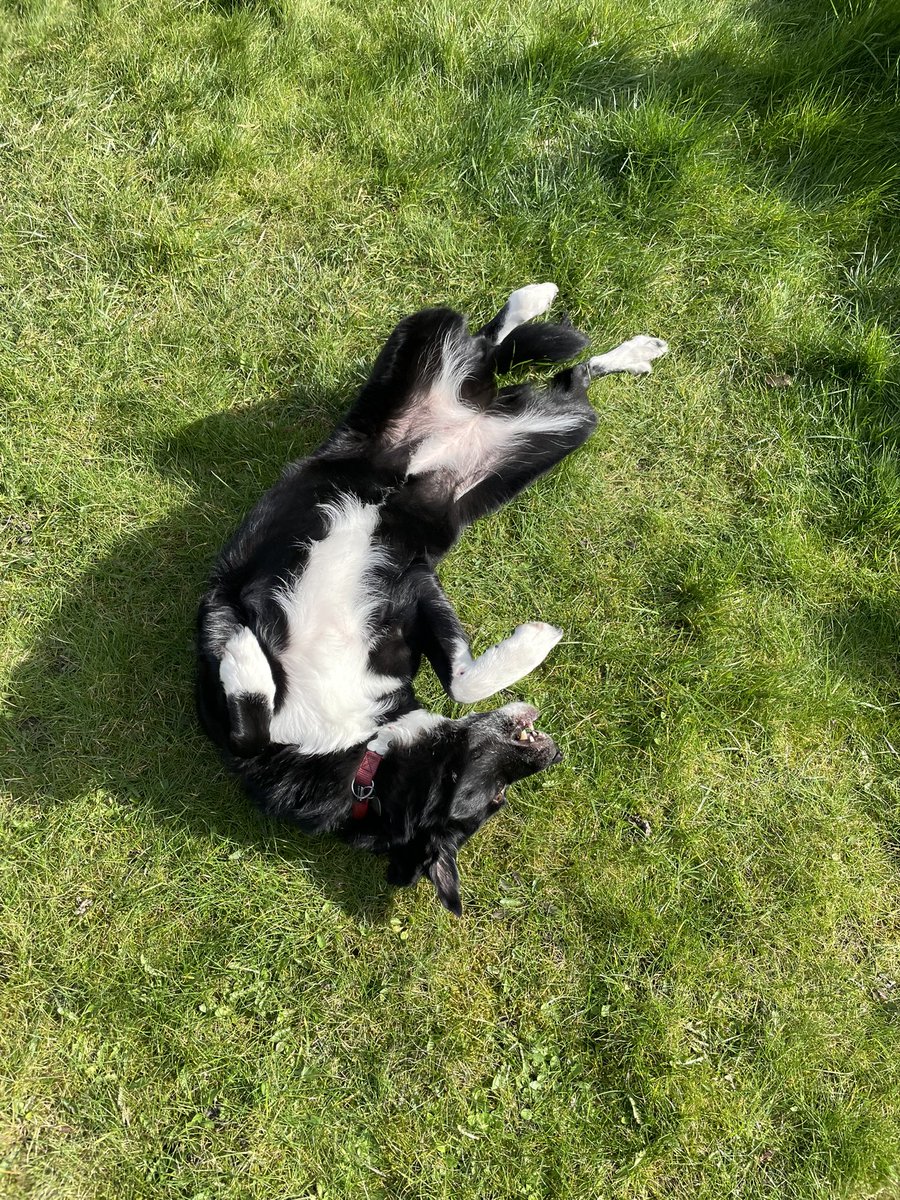 What Pippa Did Next tweet media