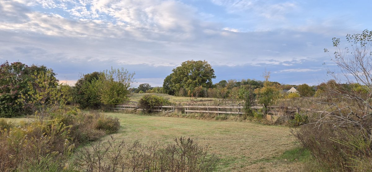 Cosmic Horror tweet media