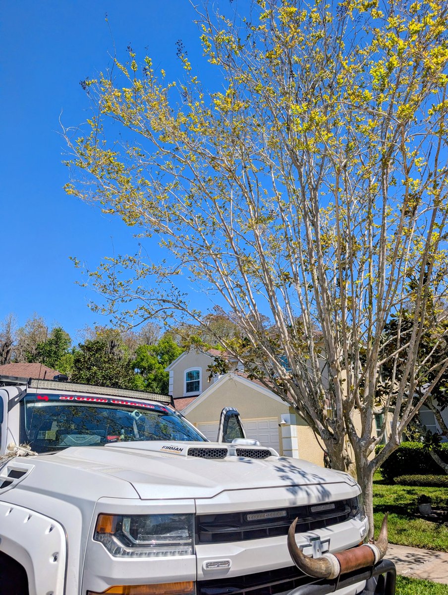 Mike's Weather Page tweet media