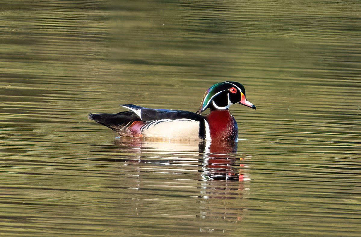 The Only James Magelk tweet media