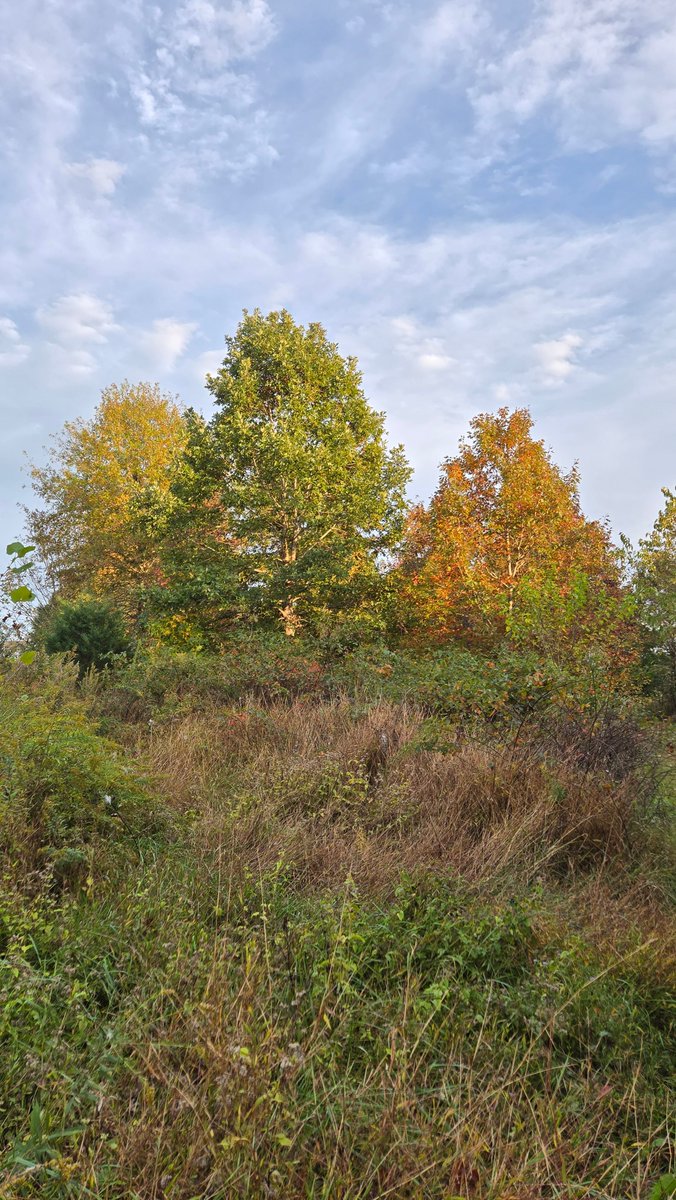 Cosmic Horror tweet media