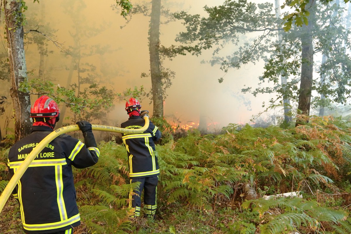 🔴 Soucelles : plusieurs hectares de sous-bois détruits par le feu ➡️ ouest-france.fr/faits-divers/i…
