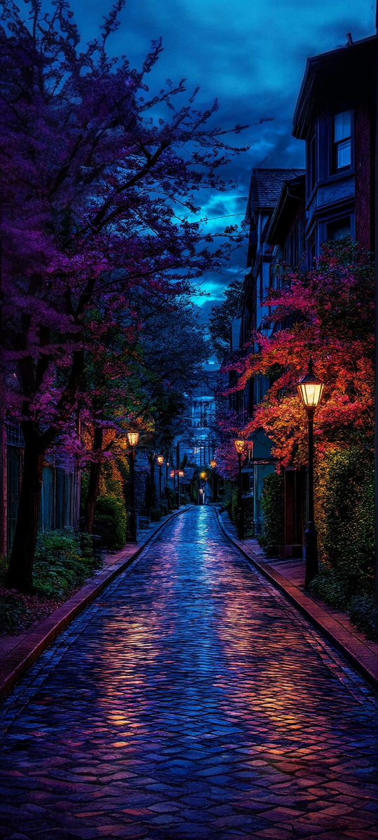 Anam Kanwal tweet media