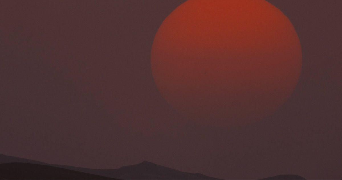 flora ₊˚⊹ tweet media