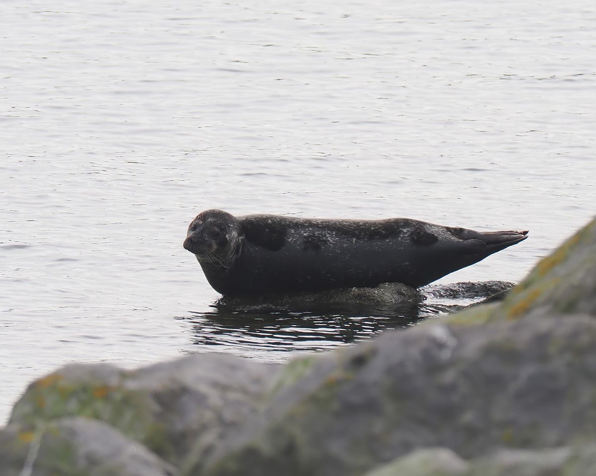 Andrew Whitehouse tweet media