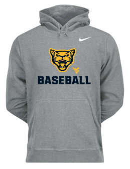 Potomac State Baseball tweet media