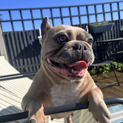 coco_th's tweet photo. #NewProfilePic #coco #blueskys #prettygirl 💖 https://t.co/l6j7yZFHOj