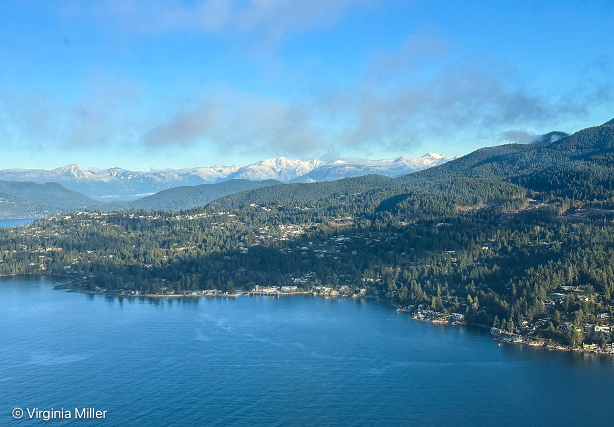 Virginia Miller tweet media