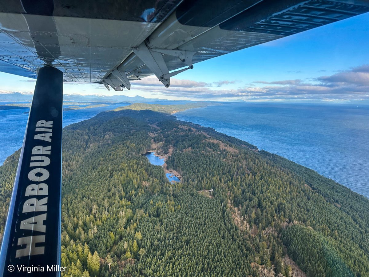 Virginia Miller tweet media