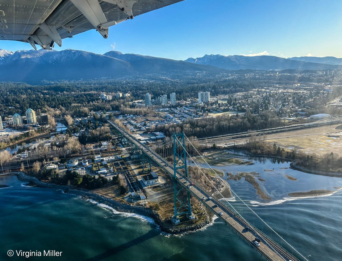 Virginia Miller tweet media