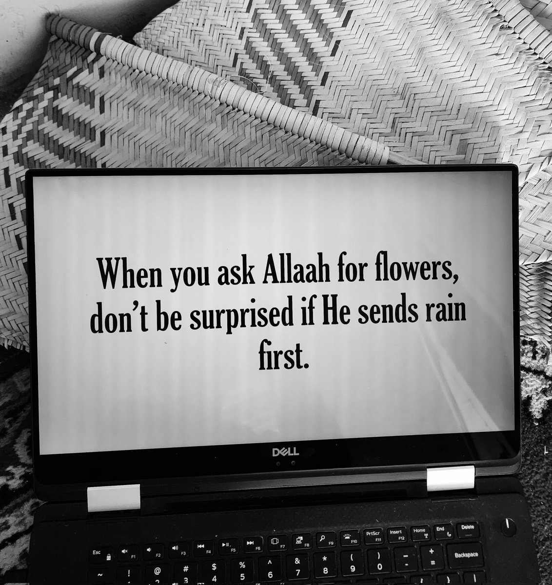 Aliyu, H. S. tweet media