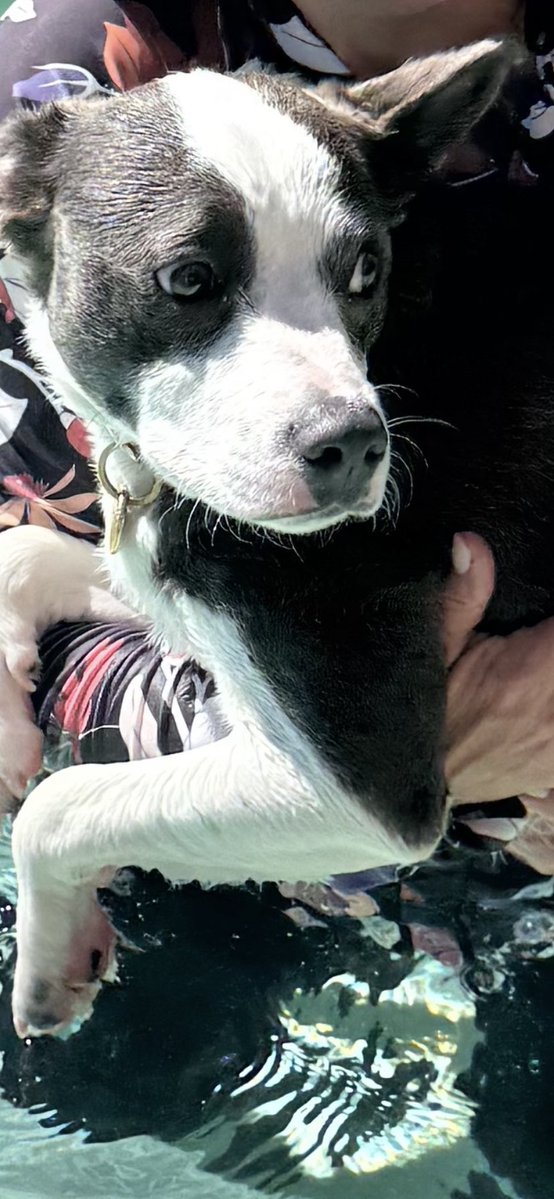 Oliver “Ollie” tweet media