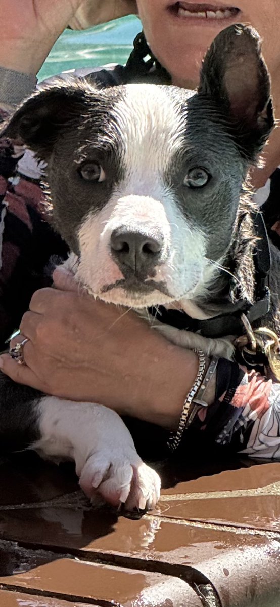 Oliver “Ollie” tweet media