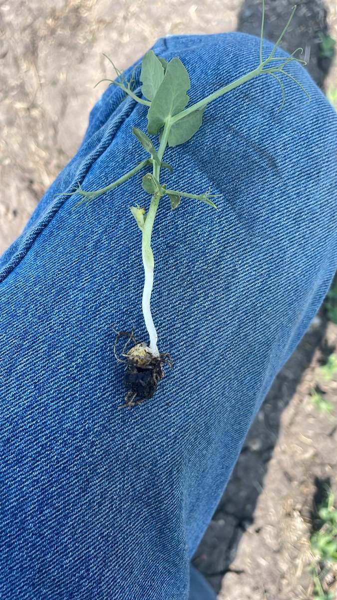 Redfern Farm Services Ltd. tweet media