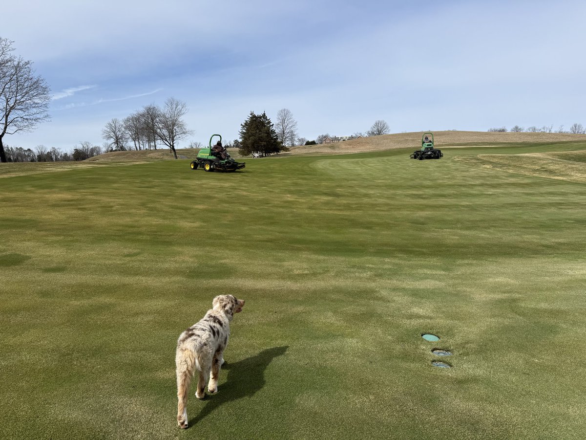 Luke Osterlof tweet media