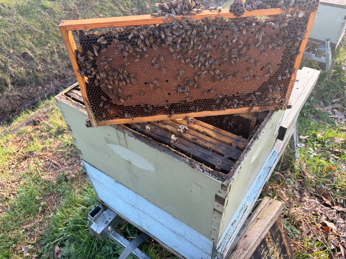 Charles Austin tweet media