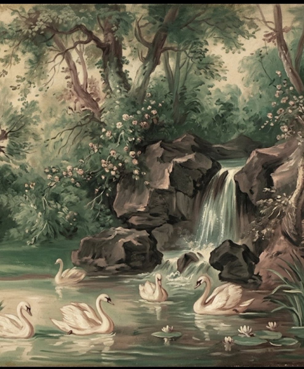 Monci, rococoa lady ☕ tweet media