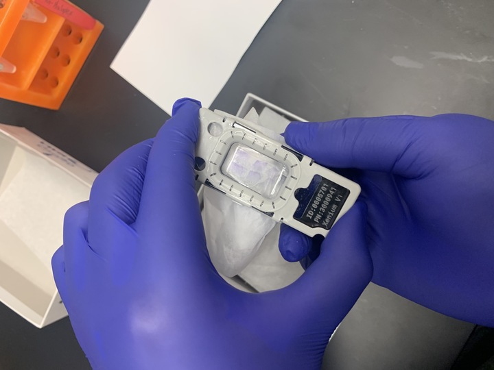 Gregory Lab tweet media