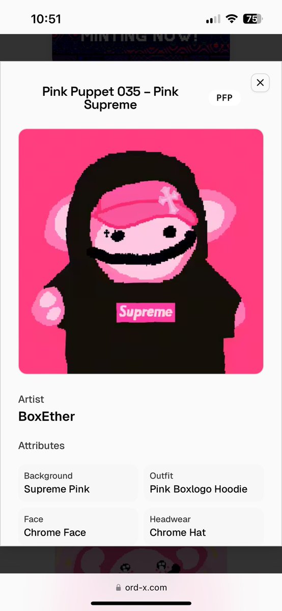 PinkPuppets🌸 tweet media