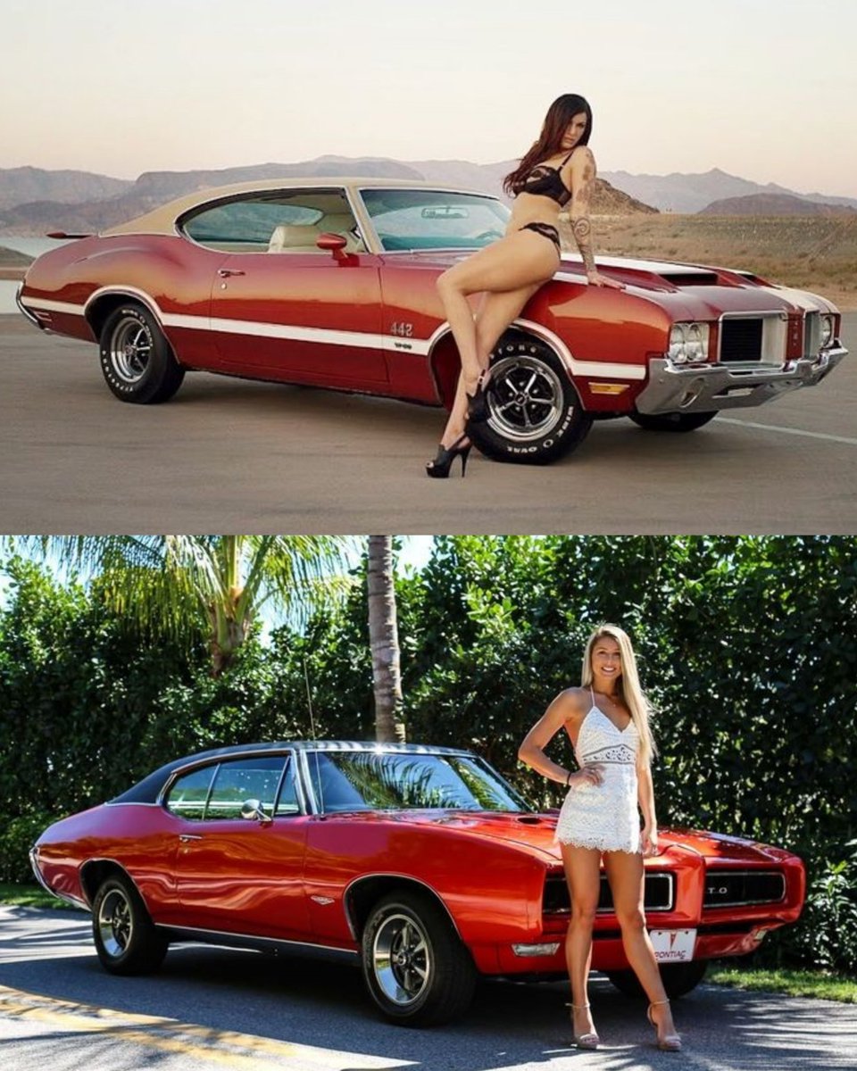 Vintage Cars Collection tweet media