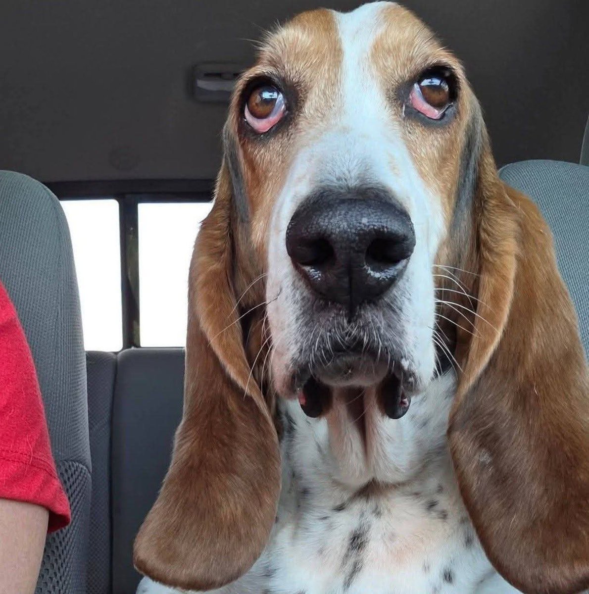 Lisa Bergstrom tweet media