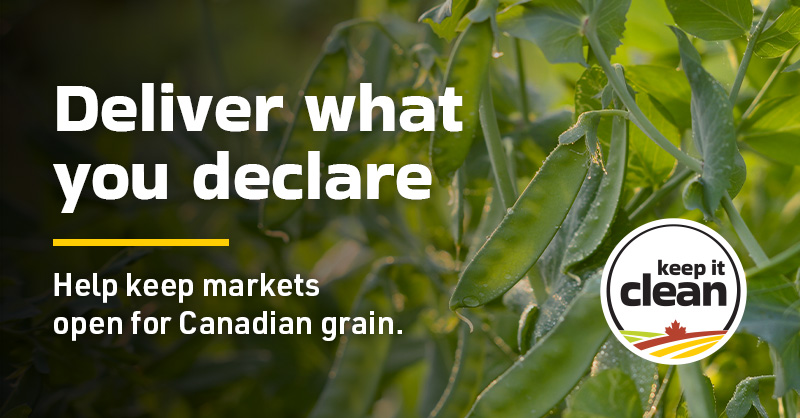 Keep it Clean tweet media