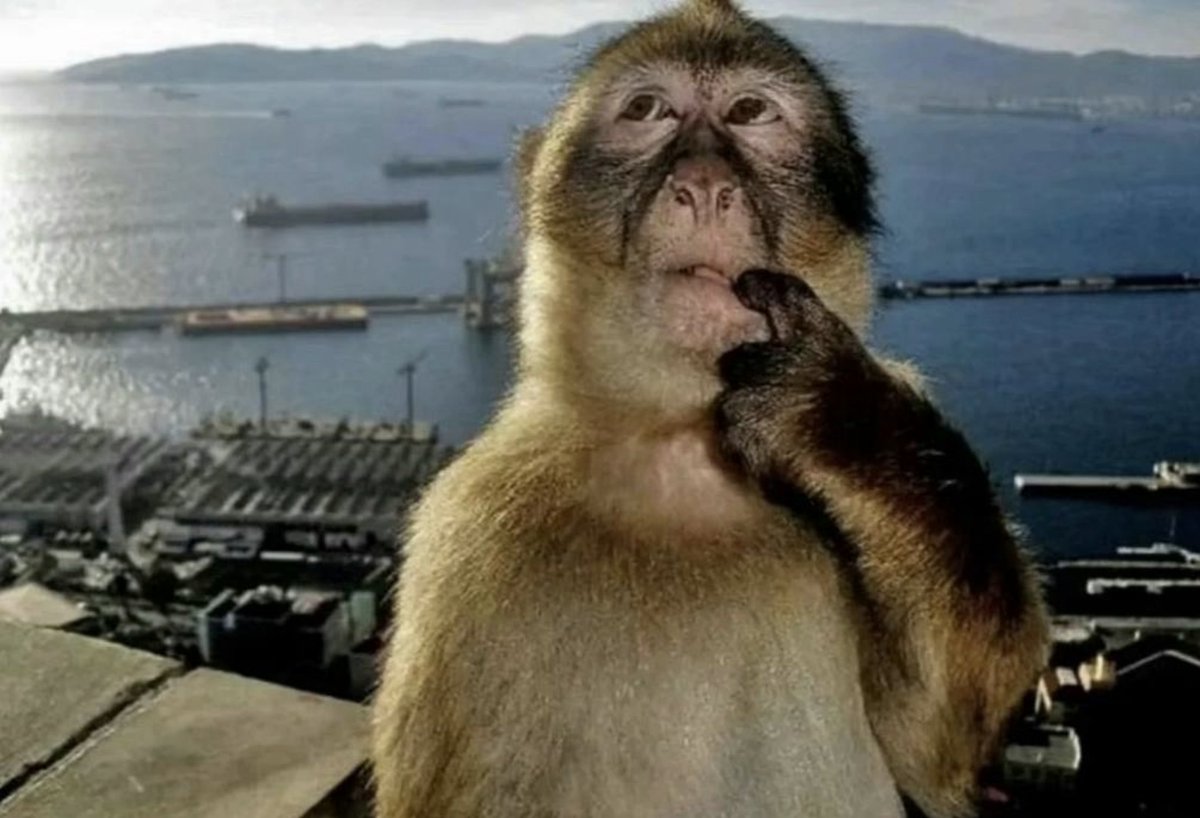 dare market tweet media